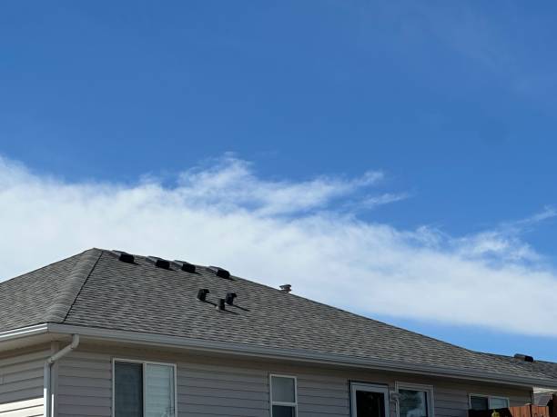 Best Cold Roofs  in West Mifflin, PA